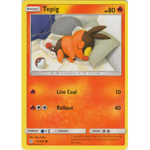 Tepig - 31/236