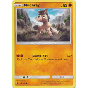 Mudbray - 75/145