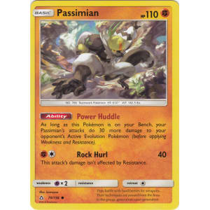 Passimian - 70/156