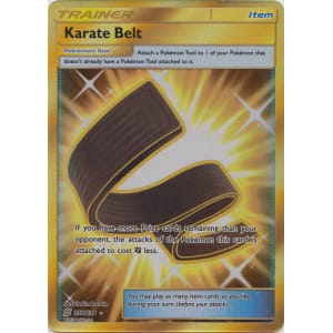 Karate Belt (Secret Rare) - 252/236