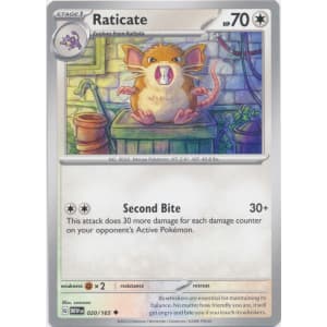 Raticate - 020/165