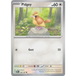 Pidgey - 162/197