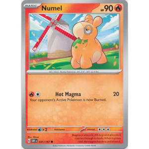 Numel - 031/197