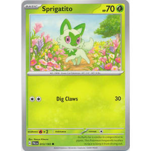 Sprigatito - 013/193