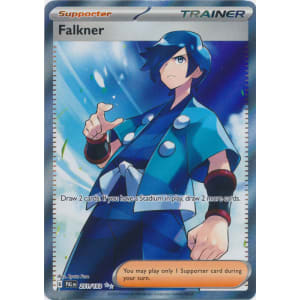 Falkner (Full Art) - 251/193