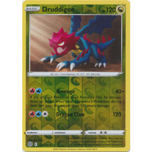 Druddigon - 113/172 (Reverse Foil)