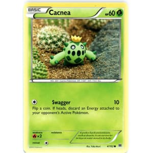 Cacnea - 4/162