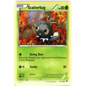 Scatterbug - 13/162