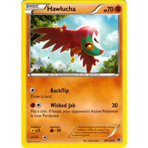 Hawlucha - 48/124