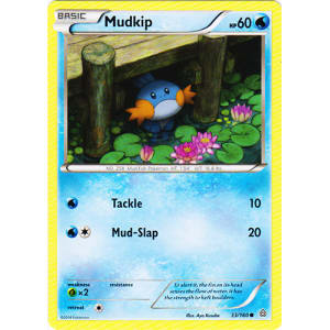 Mudkip - 33/160