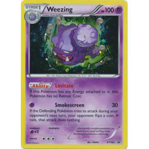 Weezing - XY163 