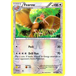 Fearow - 66/108 (Reverse Foil)