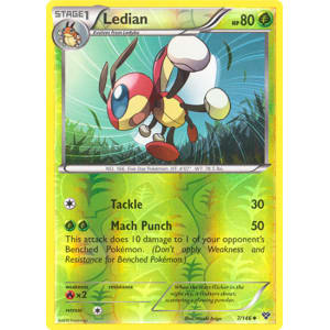 Ledian - 7/146 (Reverse Foil)