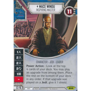 Mace Windu - Inspiring Master