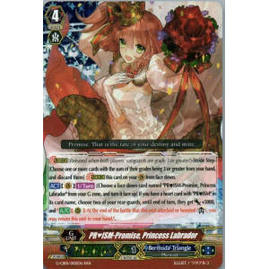 PRISM-Promise, Princess Labrador