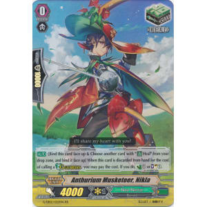 Anthurium Musketeer, Nikla