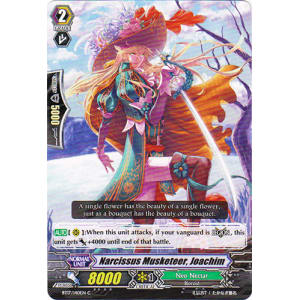 Narcissus Musketeer, Joachim