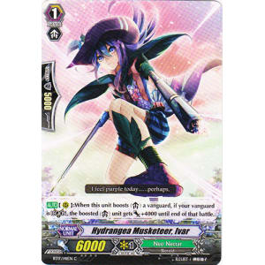 Hydrangea Musketeer, Ivar