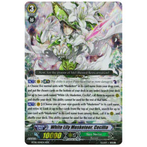 White Lily Musketeer, Cecilia