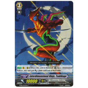 Interdimensional Ninja, Tsukikage