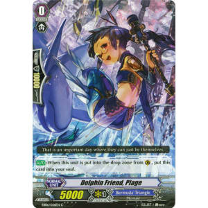 Dolphin Friend, Plage