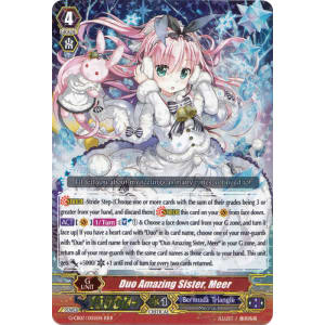 Duo Amazing Sister, Meer