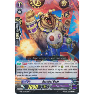 Acrobat Bear