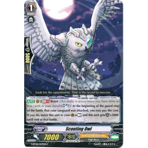 Scouting Owl