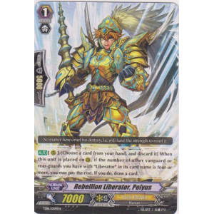 Rebellion Liberator, Polyus