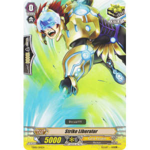 Strike Liberator