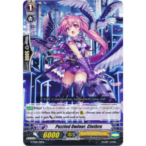 Puzzled Owlner, Clothru