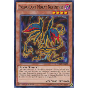 Predaplant Moray Nepenthes