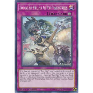 Training Fur Hire, Fur All Your Training Needs