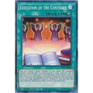 Execution of the Contract