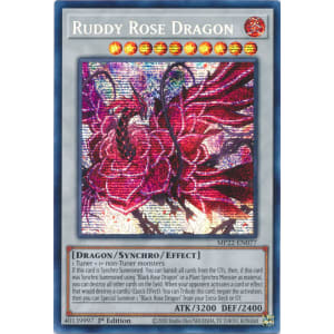 Ruddy Rose Dragon