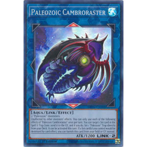 Paleozoic Cambroraster