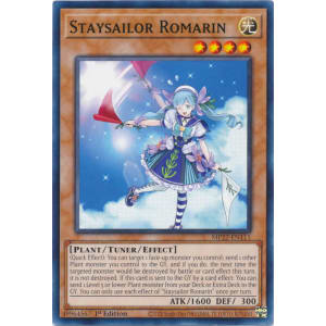 Staysailor Romarin