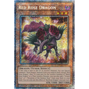 Red Rose Dragon