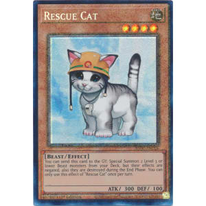 Rescue Cat (Collector's Rare)