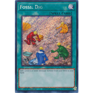 Fossil Dig (Platinum Secret Rare)