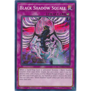Black Shadow Squall
