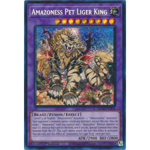 Amazoness Pet Liger King