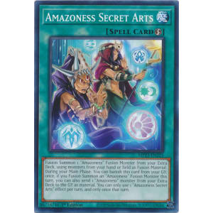 Amazoness Secret Arts