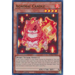 Agnimal Candle
