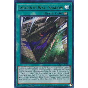 Labyrinth Wall Shadow