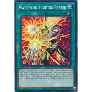 Wattsychic Fighting Porter