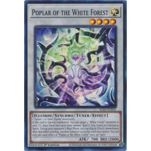 Poplar of the White Forest