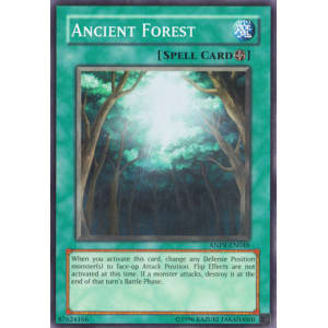 Ancient Forest