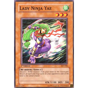 Lady Ninja Yae