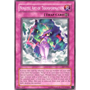 Ninjitsu Art of Transformation